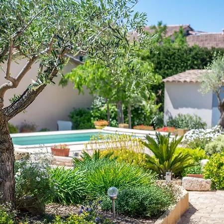 Belle Maison Jardin Piscine Pres Avignon *